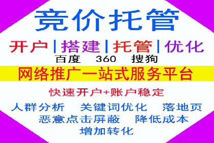 成功案例：SEM托管提升网站流量策略